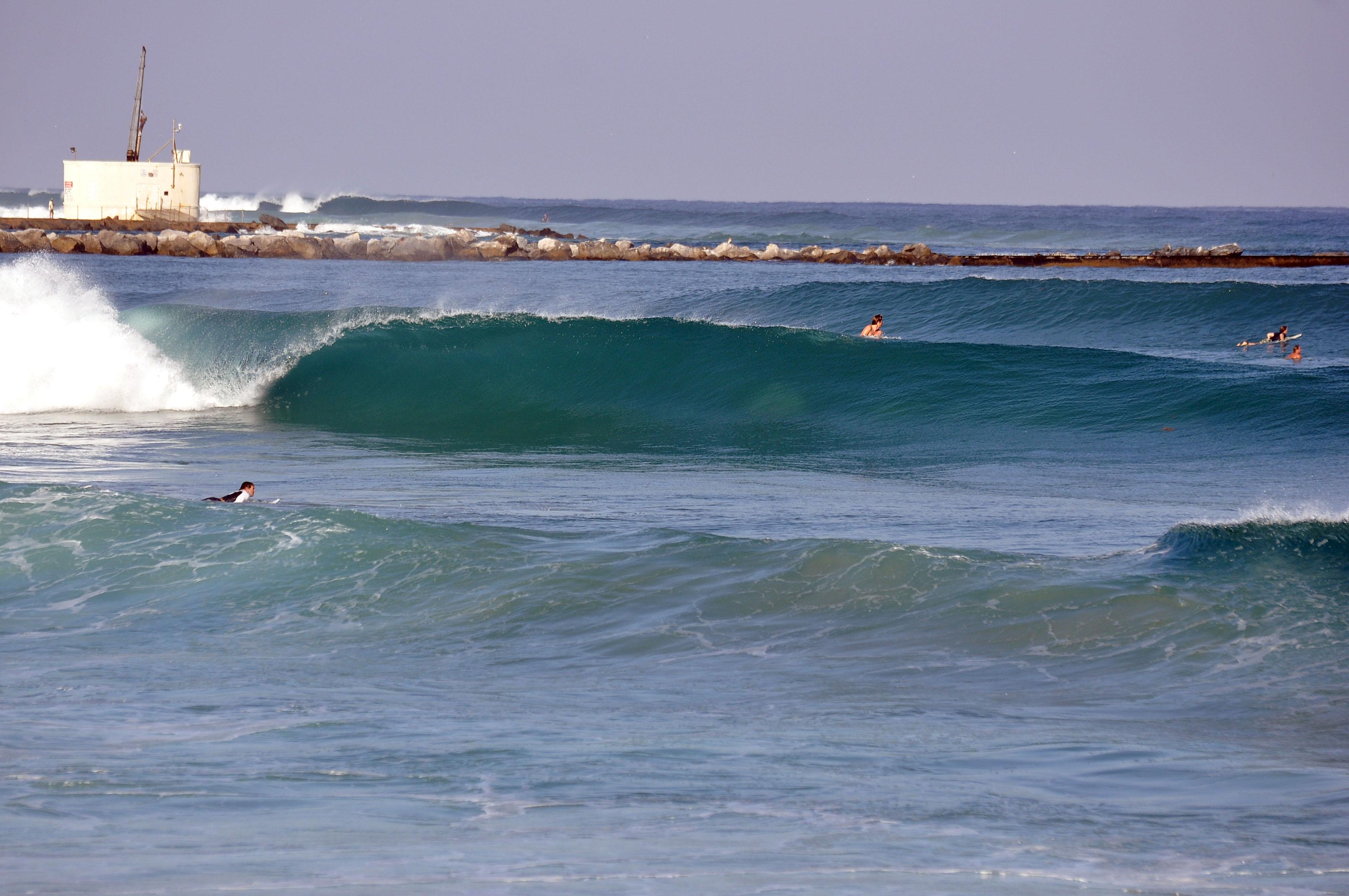 Tampa on sale bay surfing