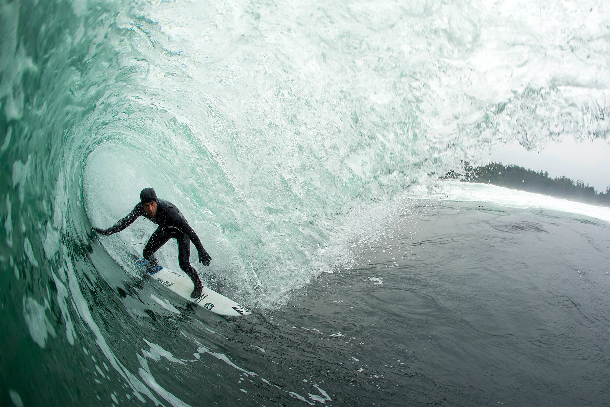 swell stories: Surf News, Videos & Photos at Surfline