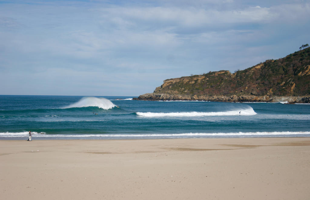 The Most Shark Infested Surf Spots On Earth Surfline
