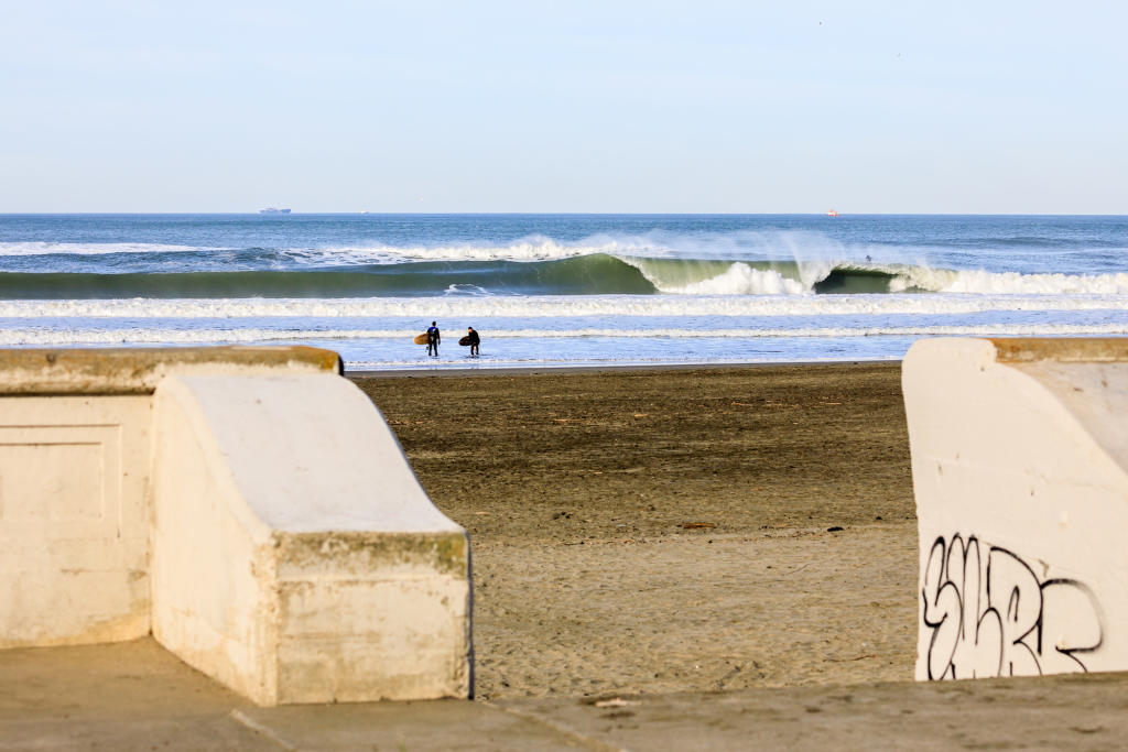 California's Best Dog Beaches for Surfers