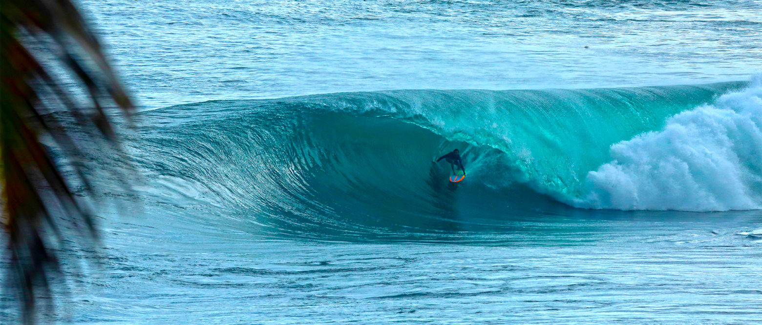 Epic Soup Bowl, With William Aliotti