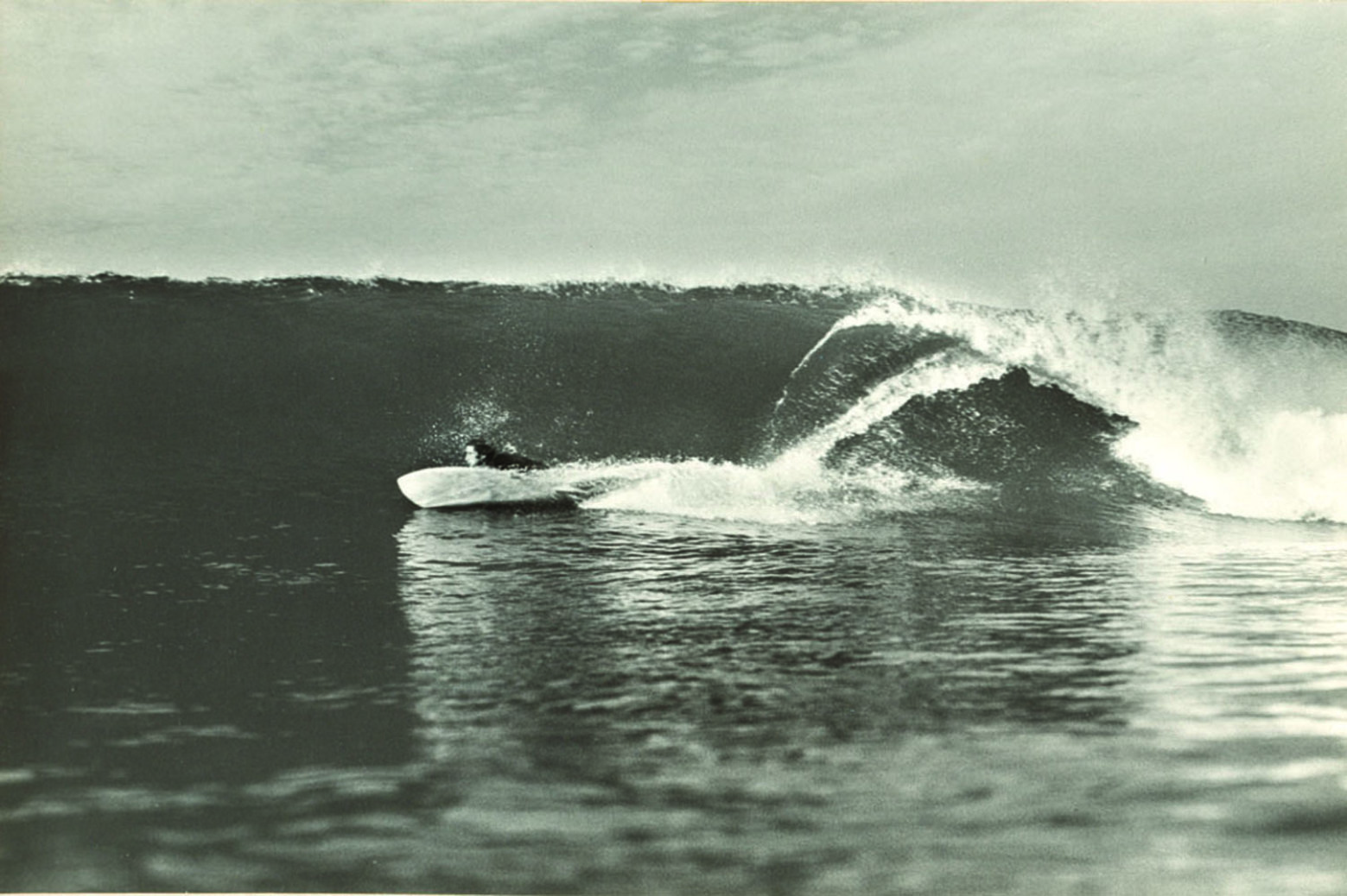 A Visual History of Surfboard Fin Designs