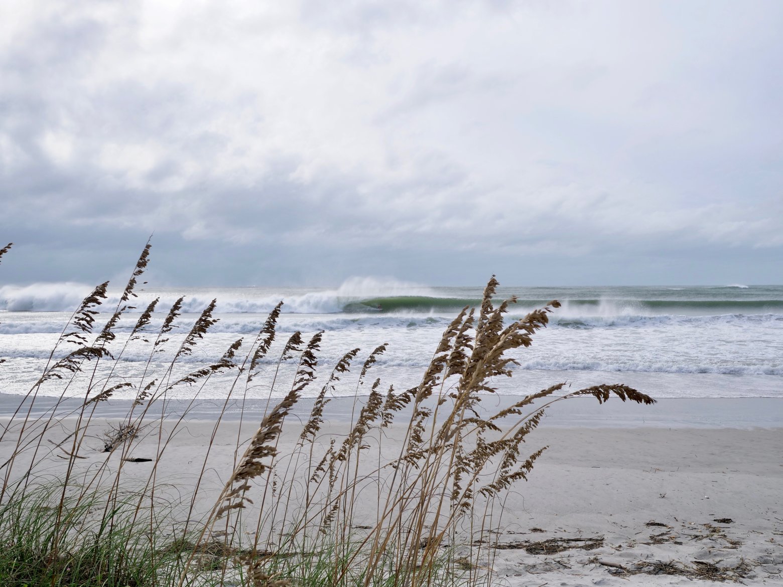 Top 10 Surf Colleges in America Best Colleges & Universities For Surfing