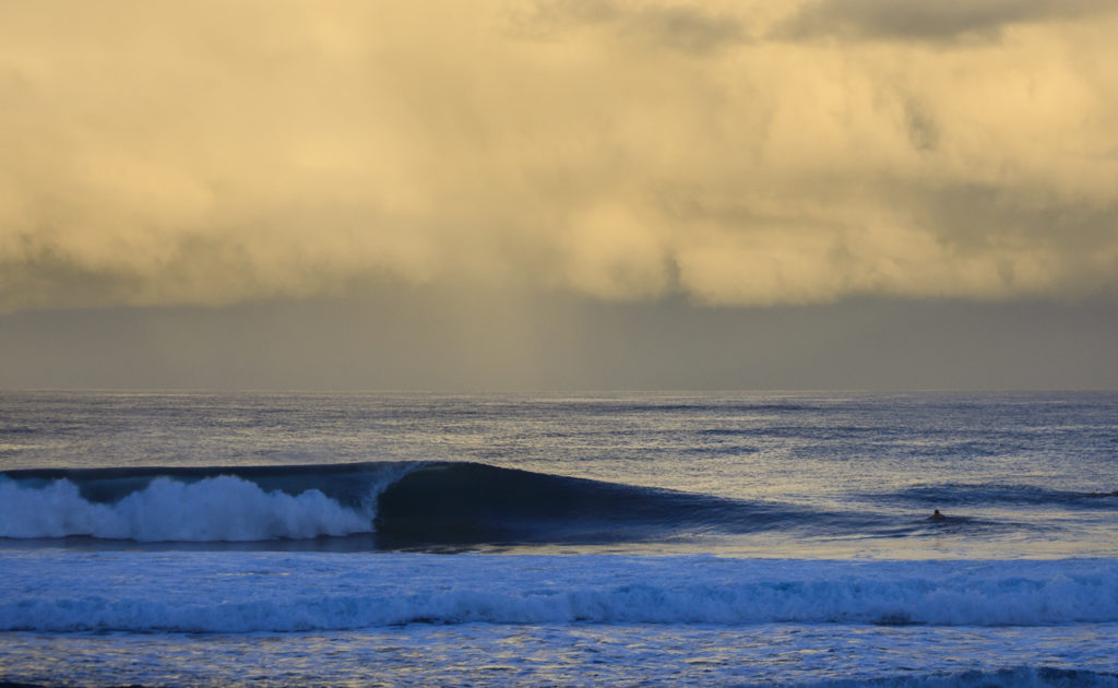 Premium Members: Rocky Point is Delivering the Goods Today