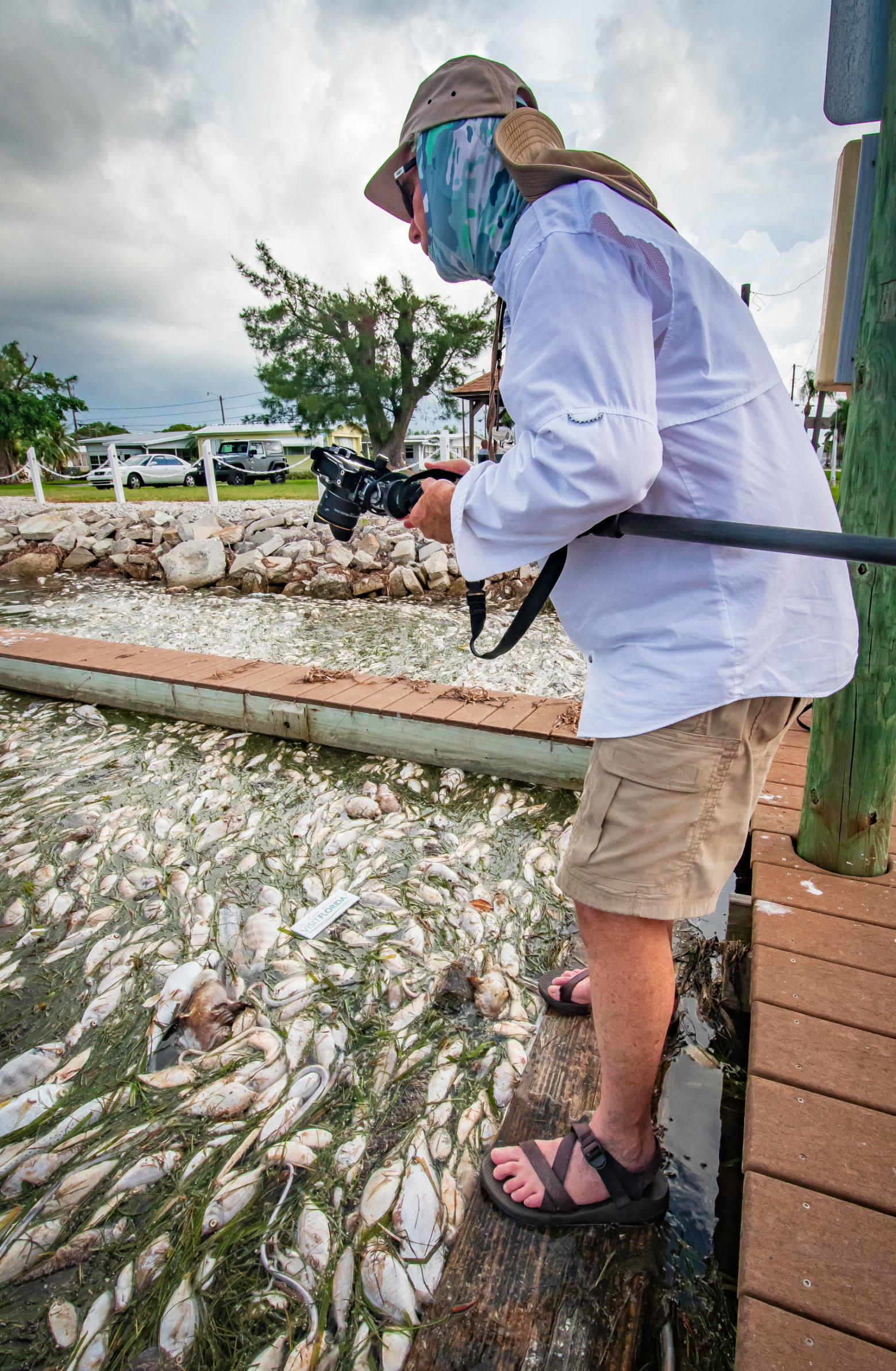 Slimed Out Florida Lineups -- Red Tide, Algae Decimate Coastal Waters