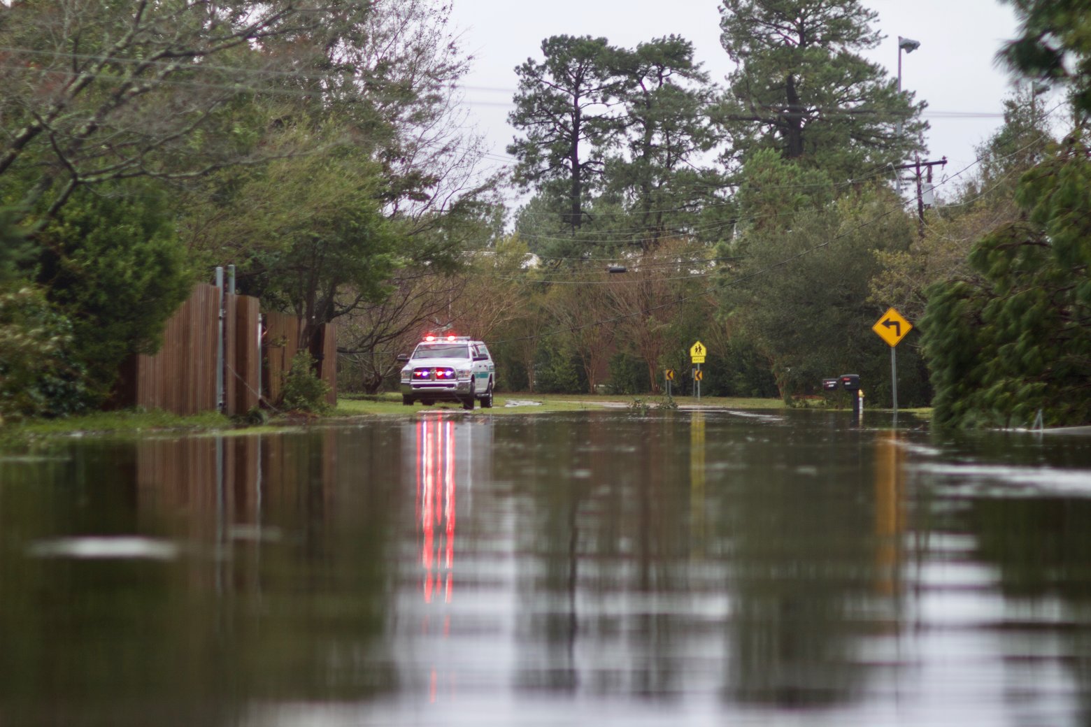 Florence Hurt Us All