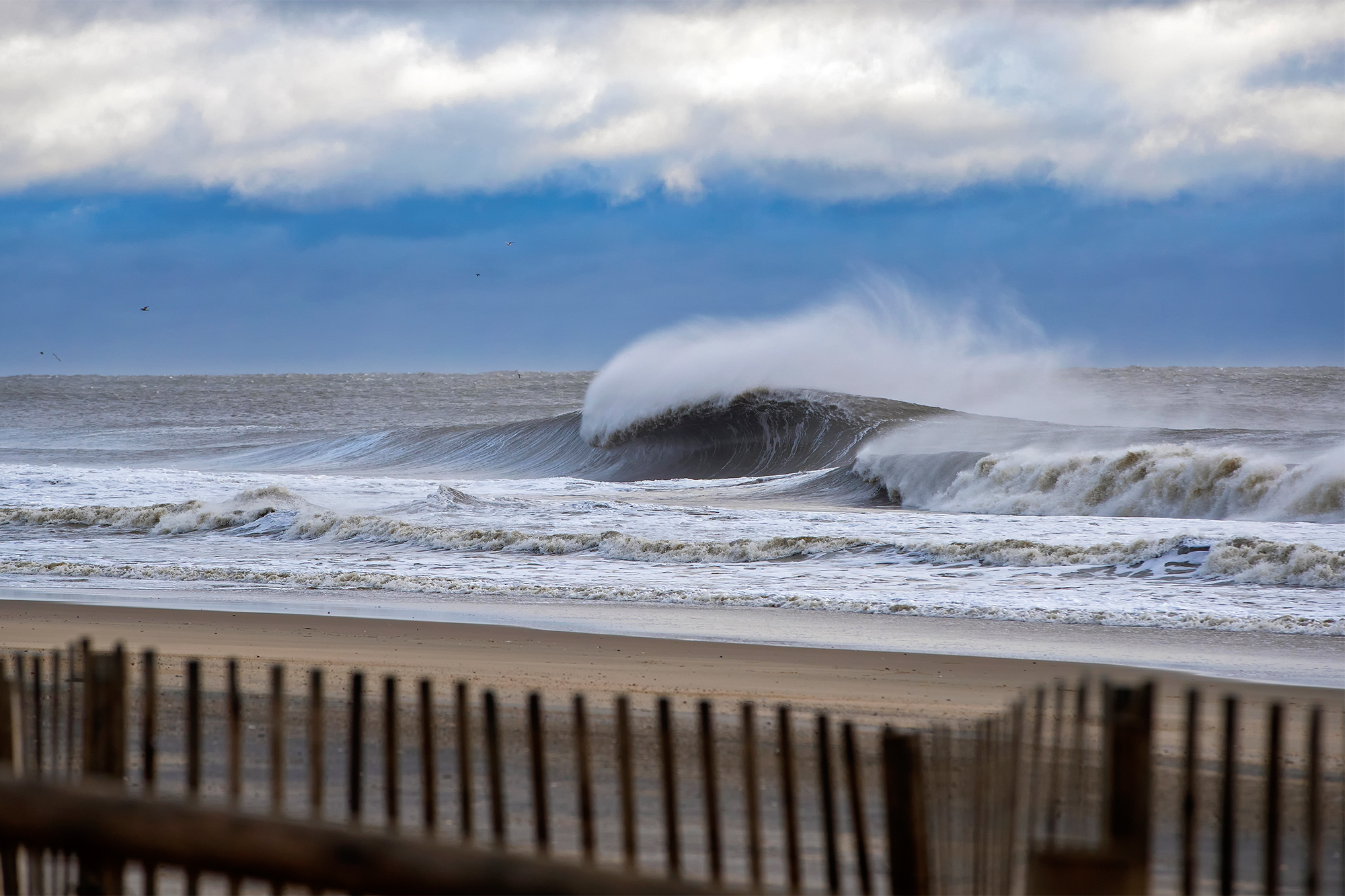 ‘Slam Dunk Swell’ Breaks the Boards in New Jersey
