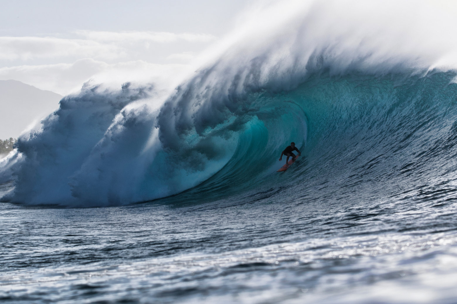 Mark Healey's O'neill Wave Of The Winter Contender