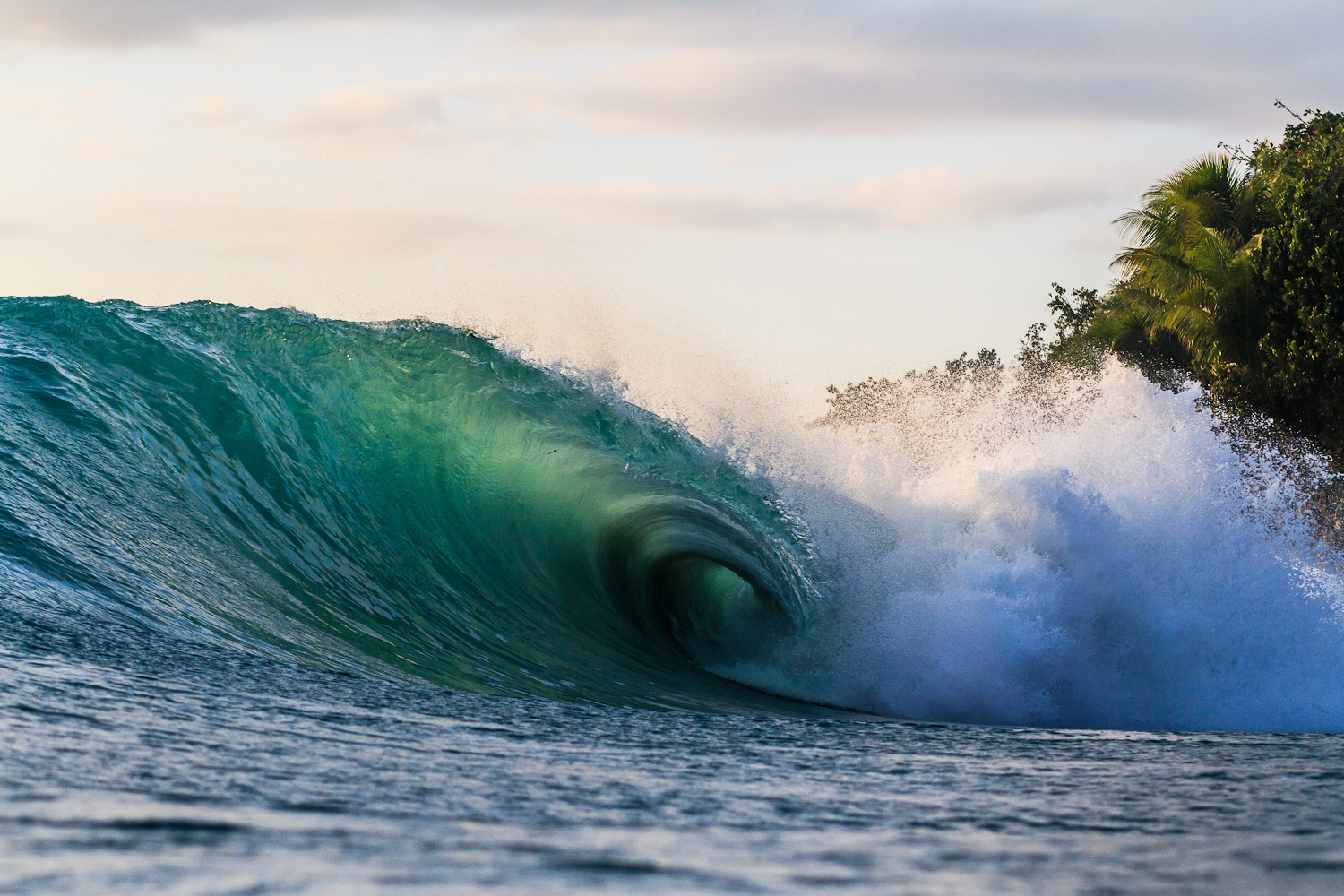 Otto Flores Surf News Videos Photos At Surfline