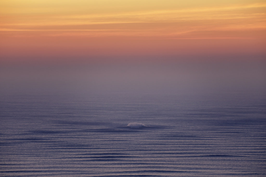 From the Vault: Sean Collins’ Surfology 101