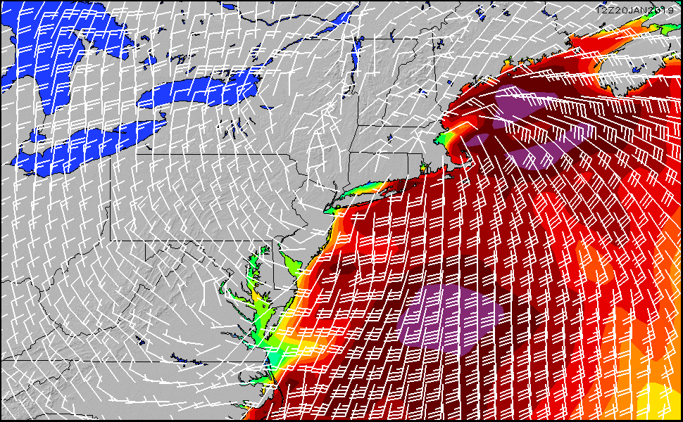 Surf Then Hibernate from the Cold: Winter is Here, East Coast