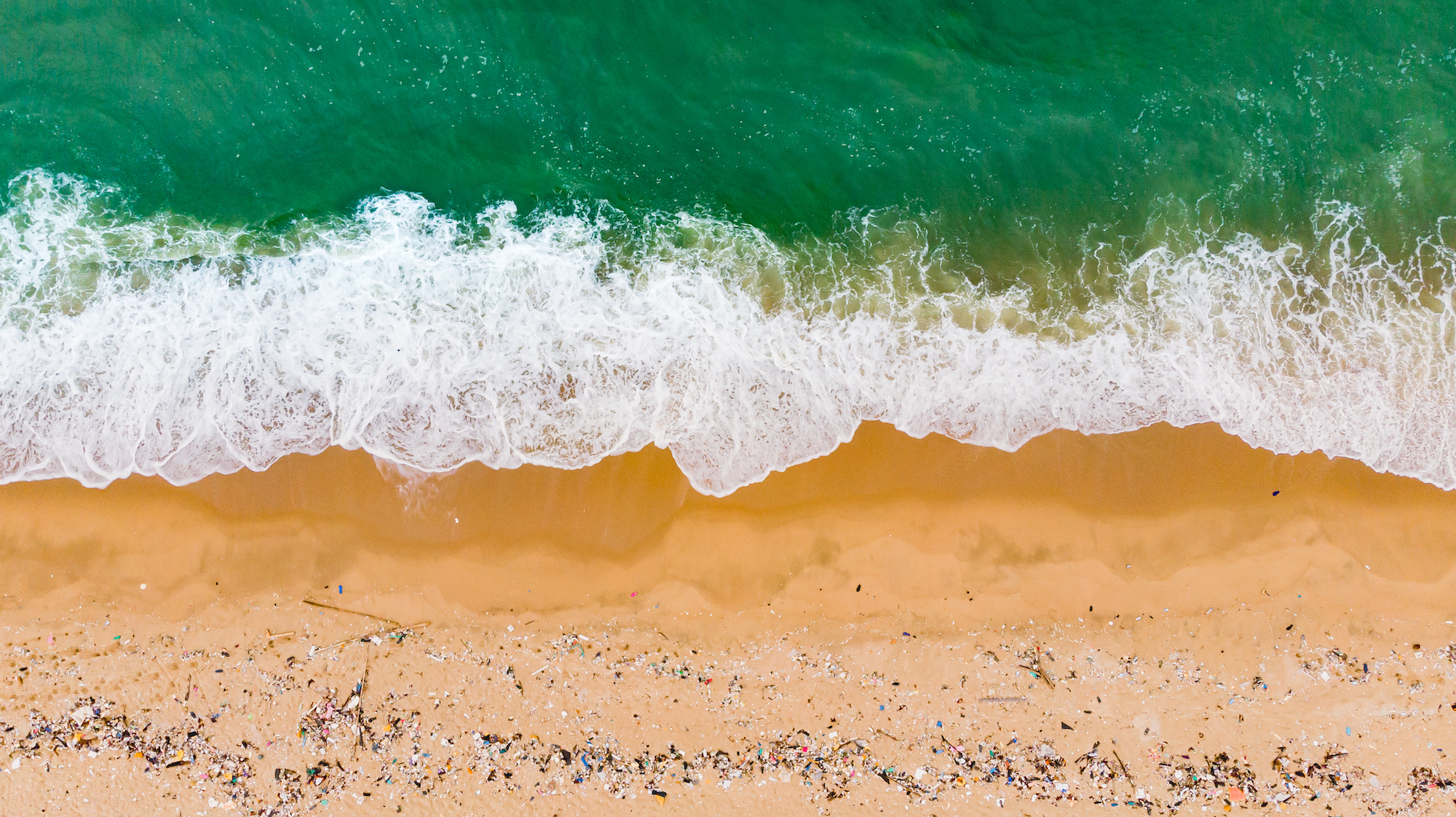 Six Organizations Battling the Ocean Plastic Problem