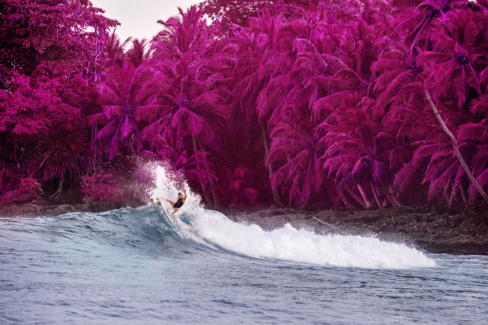 Billabong Creatures of Color