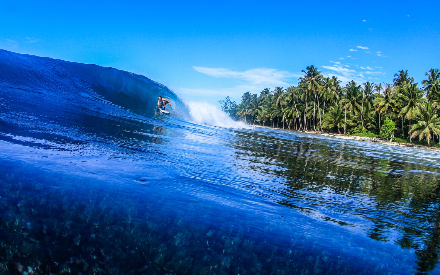 Best Surfboard For Mentawais at Glenn Mendenhall blog