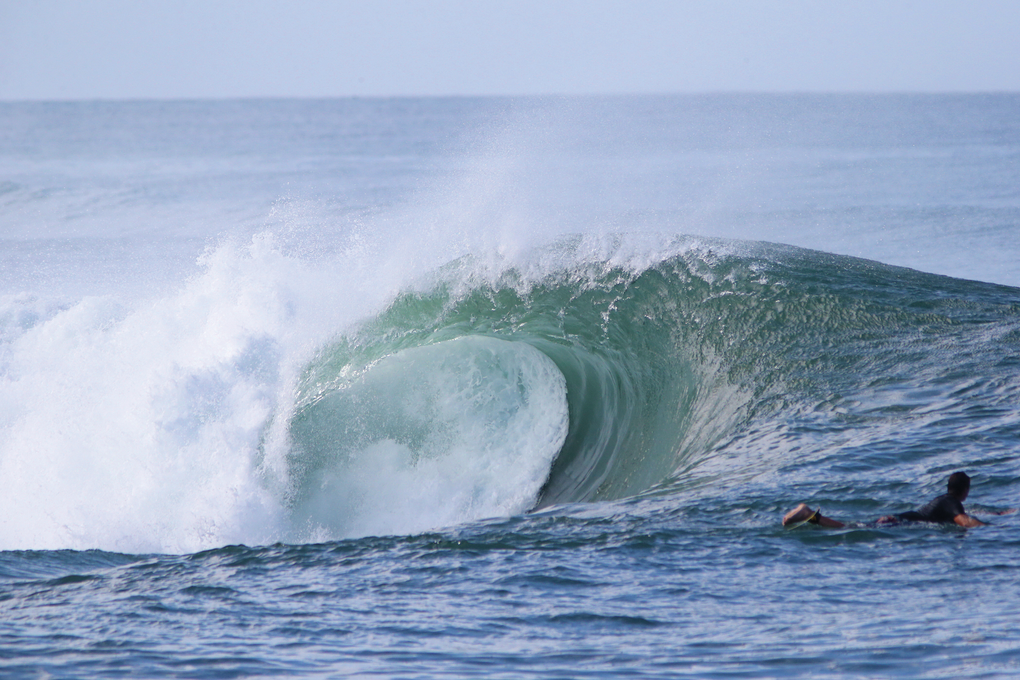 south shore surf