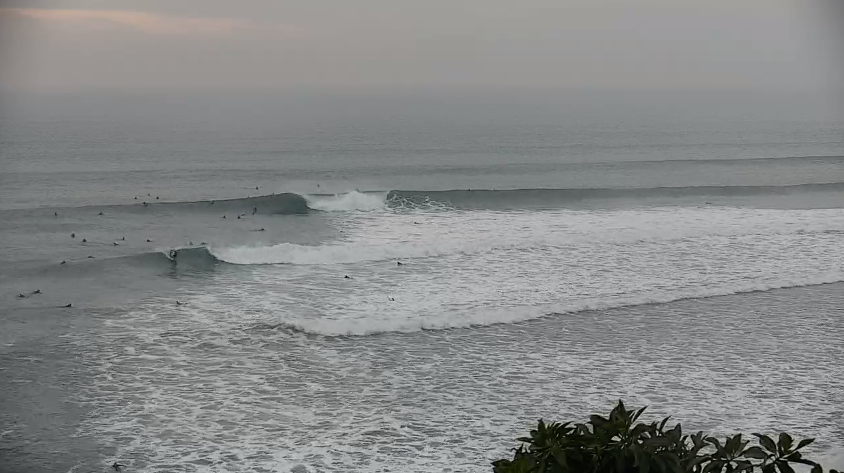 Santa Cruz Surfline - 8zu87k6