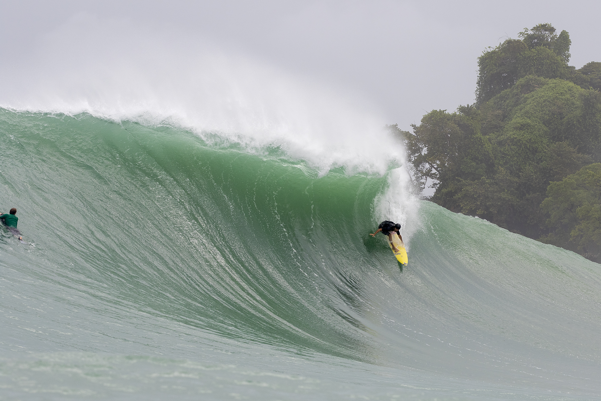 Panama, Bocas del Toro, Silverbacks, Luke Davis, Red Frog Bungalows, Koa Smith, Michael Dunphy, Andrew Jacobson, Travel,