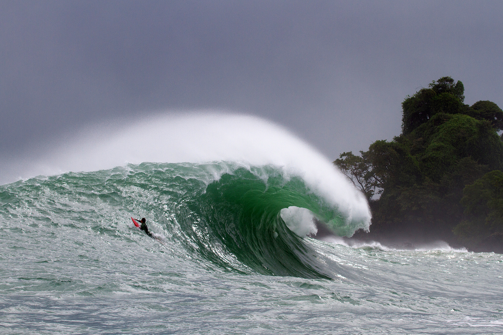 Panama, Bocas del Toro, Silverbacks, Luke Davis, Red Frog Bungalows, Koa Smith, Michael Dunphy, Andrew Jacobson, Travel,