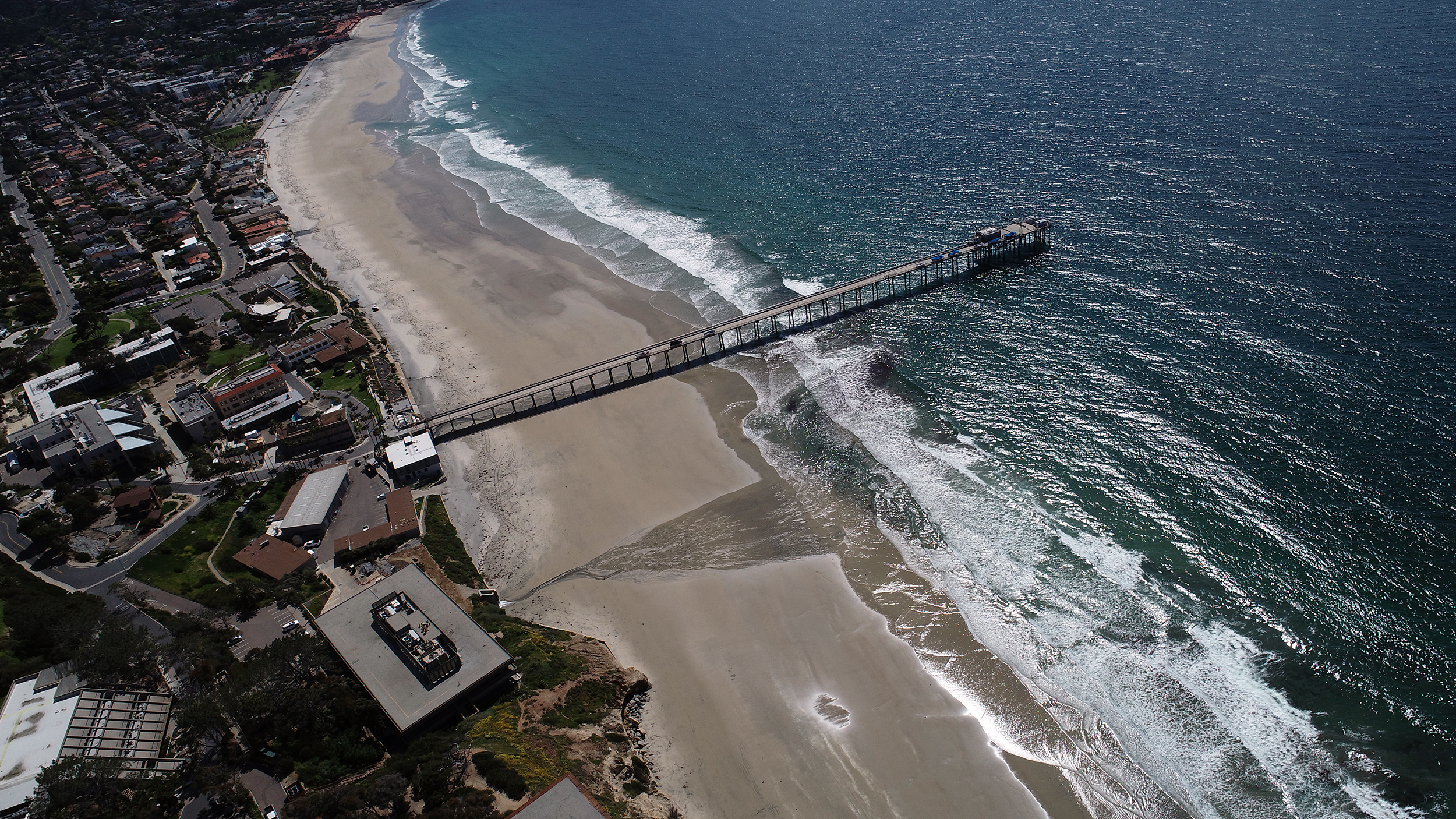 Rip Stan Searfus Surfline