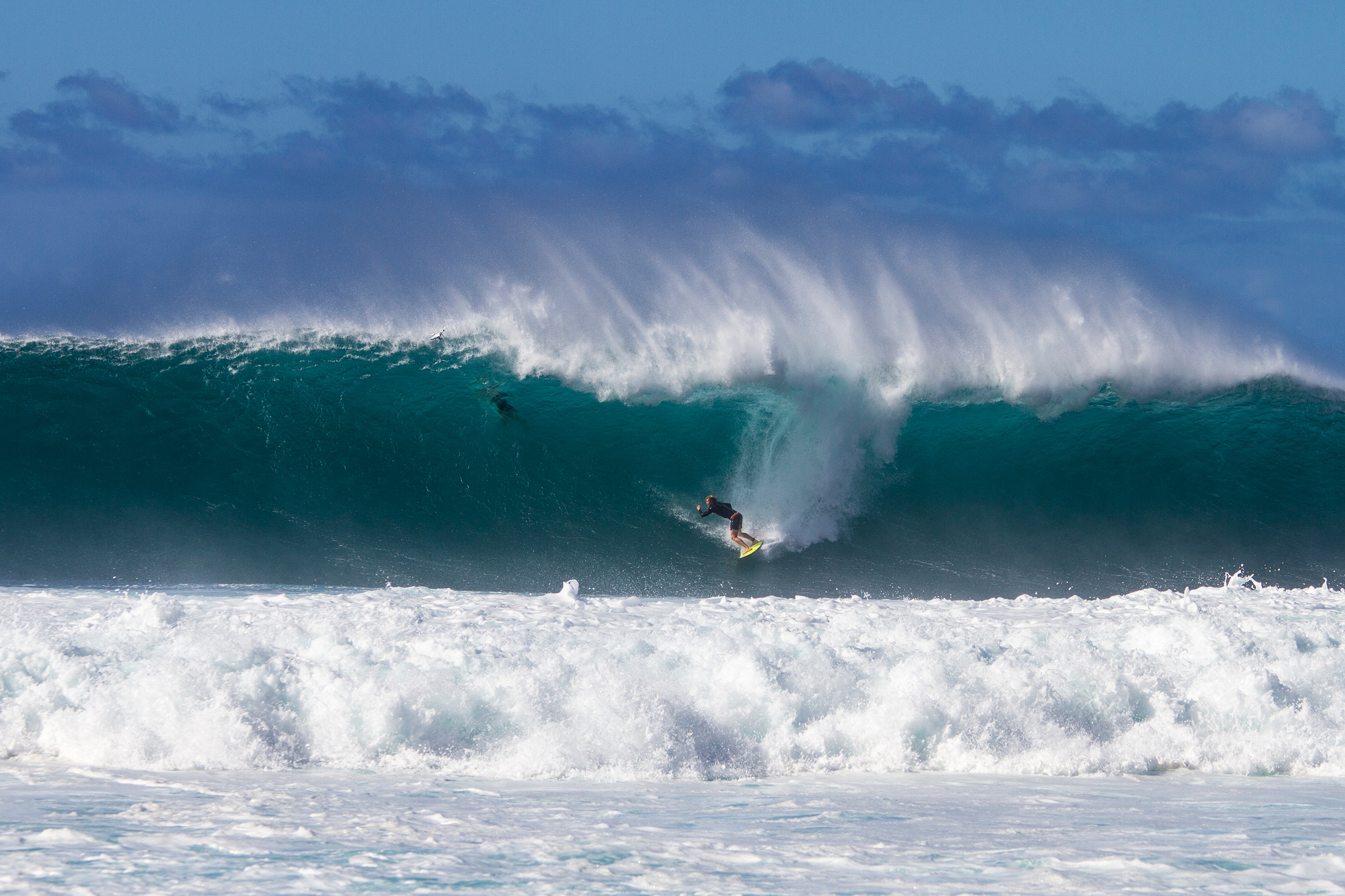 O'Neill Wave of the Winter Update: December Comes Out Swinging - Vimarsana News