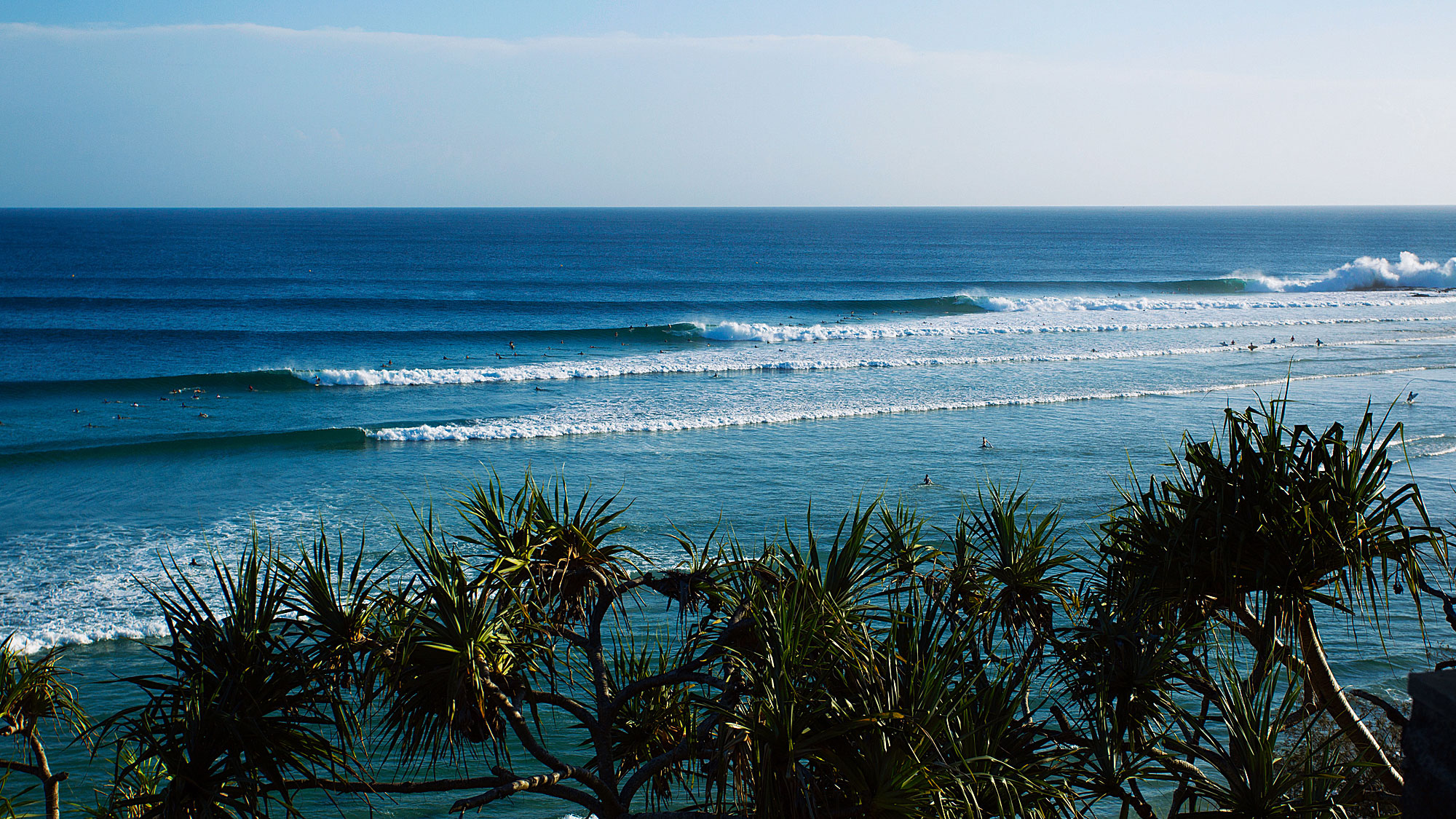 N1e3d Nxtfrm3m N1e3d Nxtfrm3m