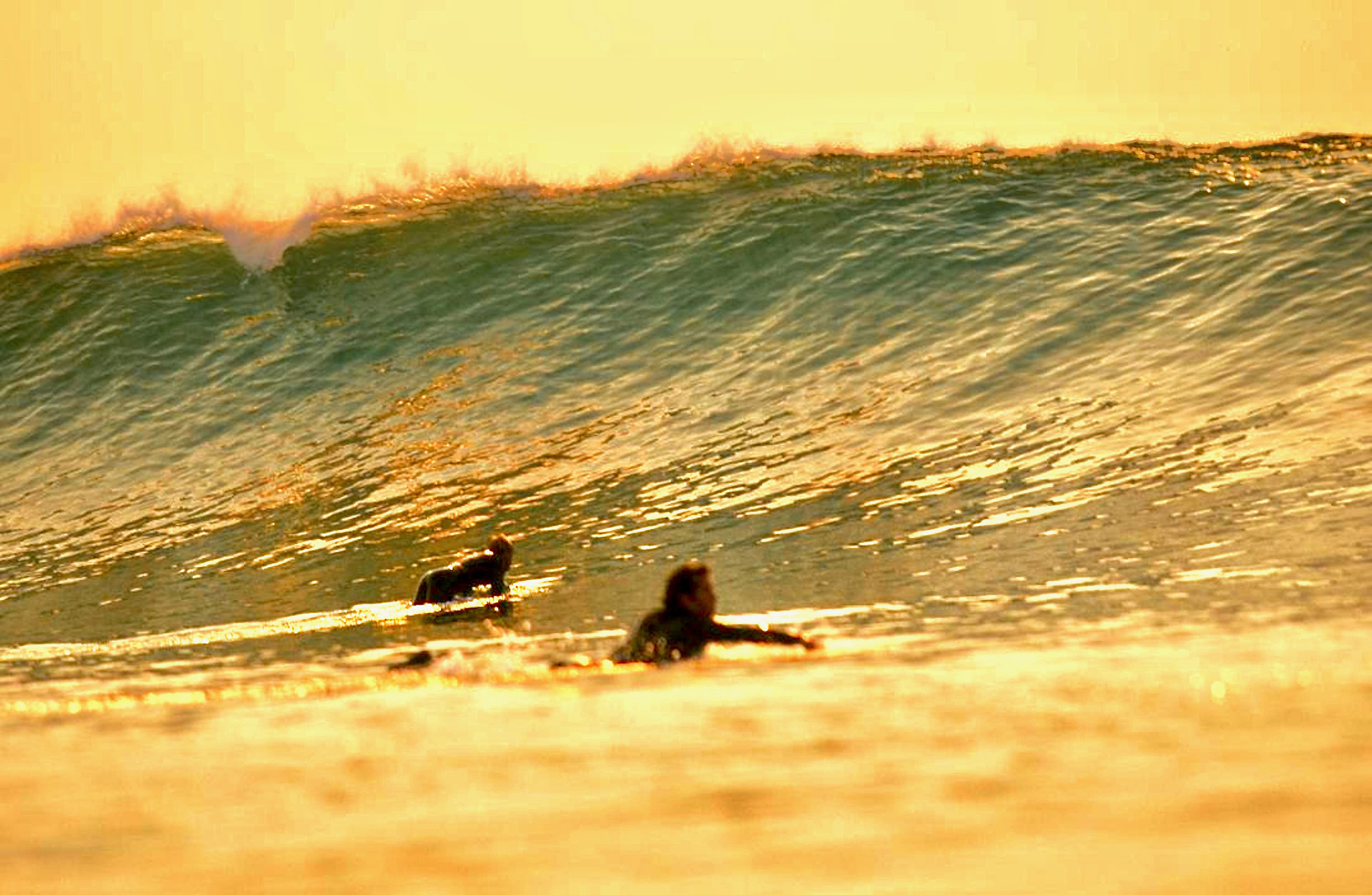 Surfline Scripps - 0fsuoxu