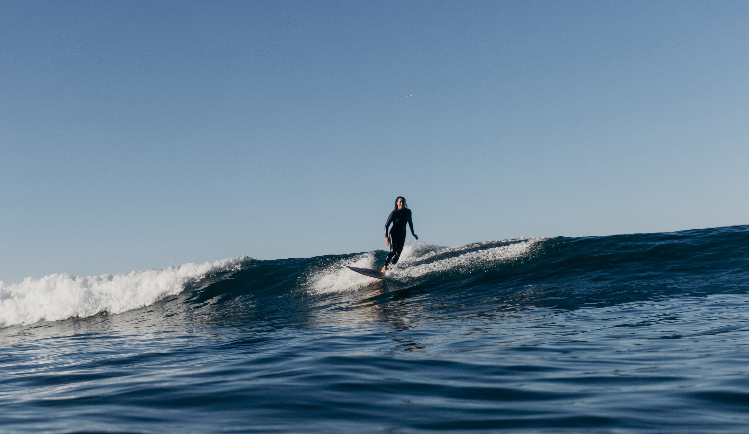 surfline store