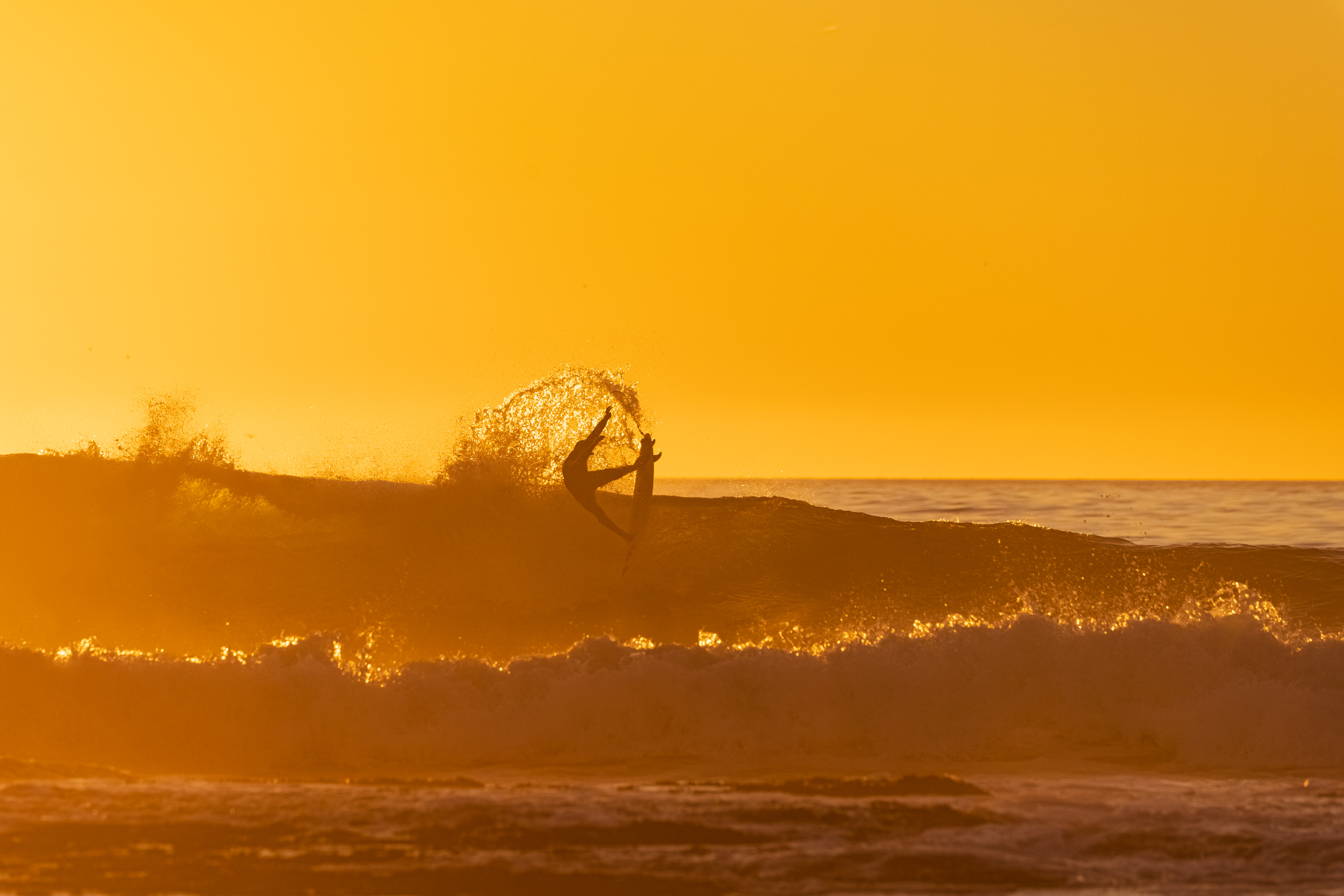 Santa Cruz Surfline - 69kg3qn
