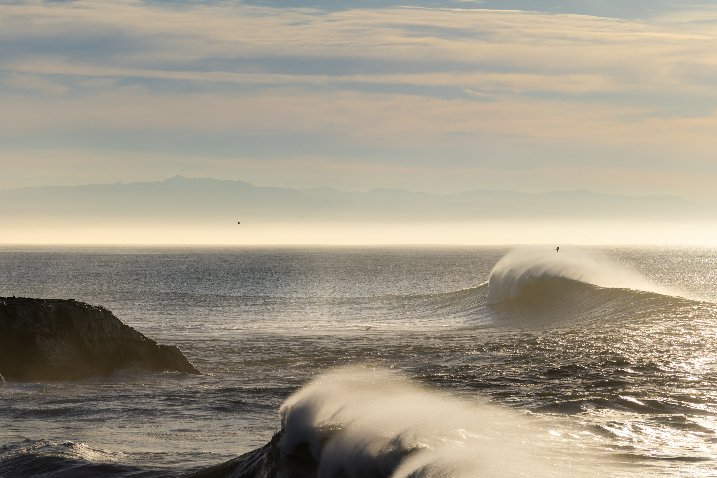 'Tis the Season at Maverick's (and Beyond)