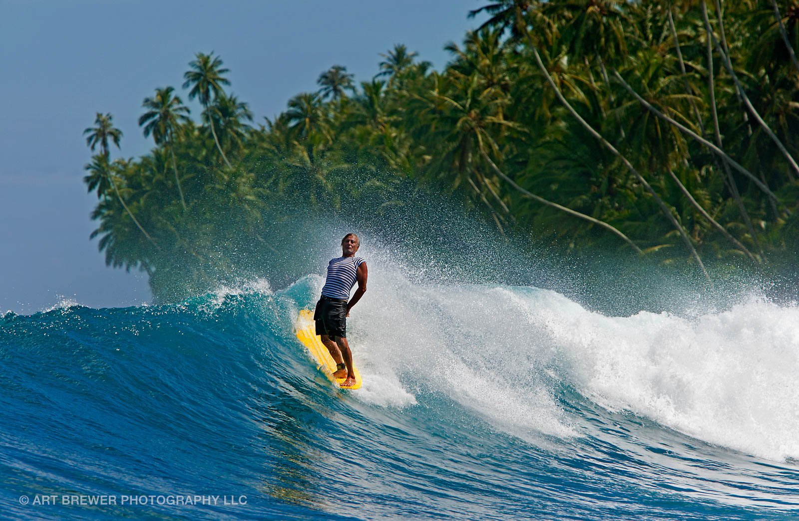 Art Brewer, 19512022