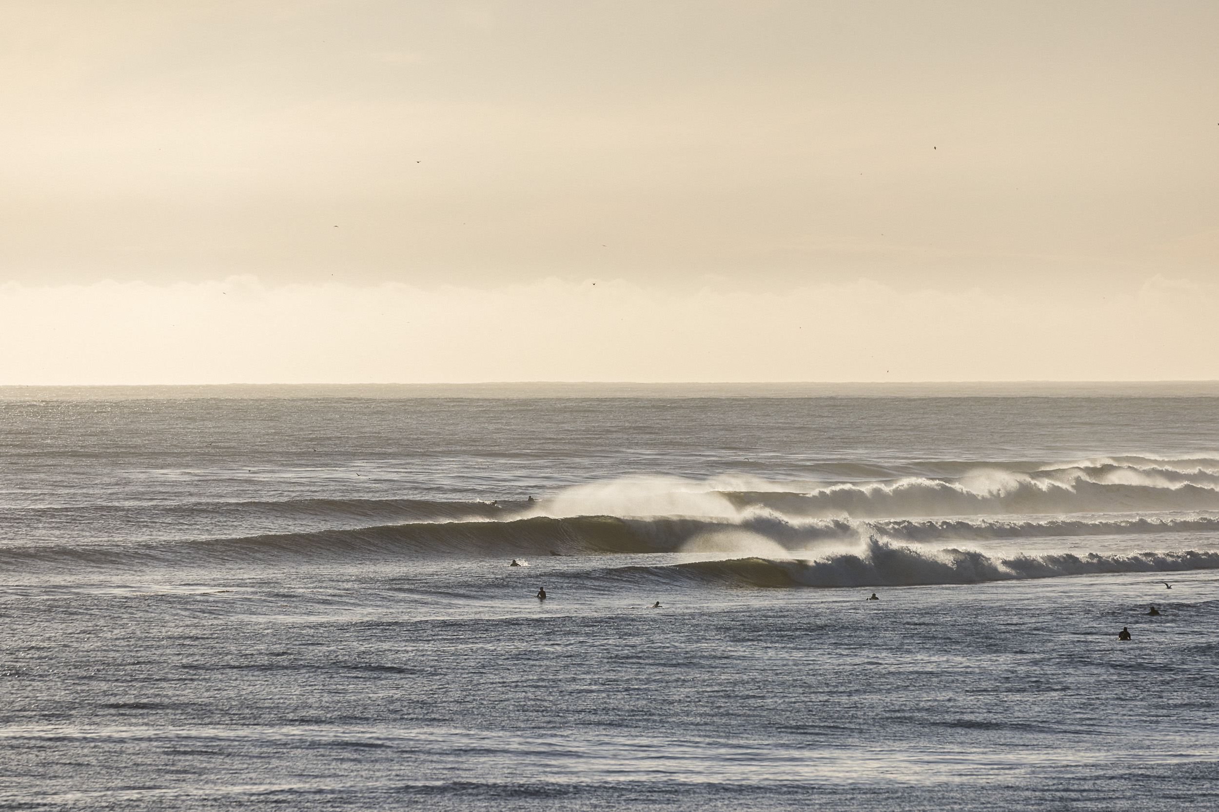 Santa Cruz Surfline - f1t597b