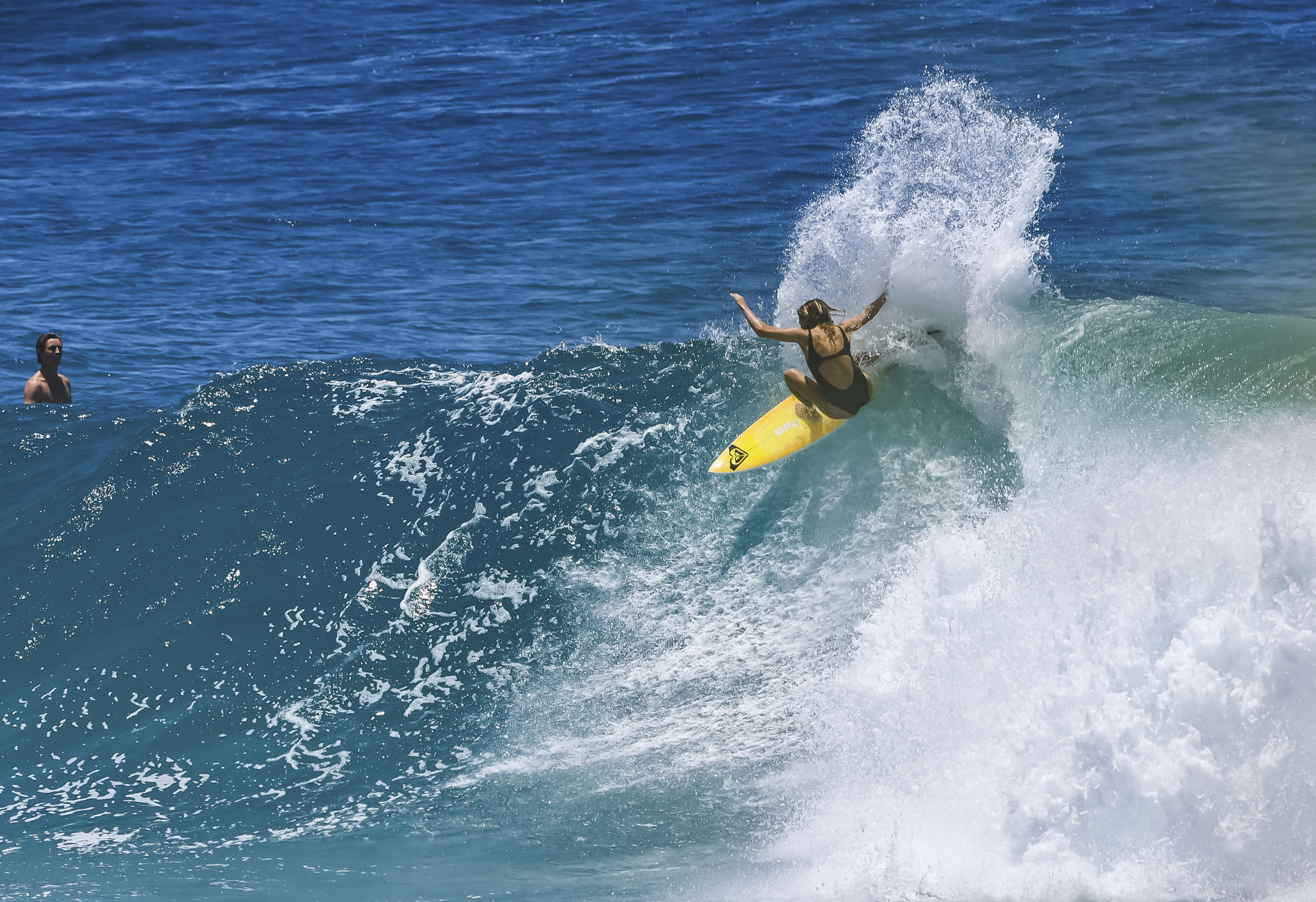 Australia The Silly Season australia-the-silly-season