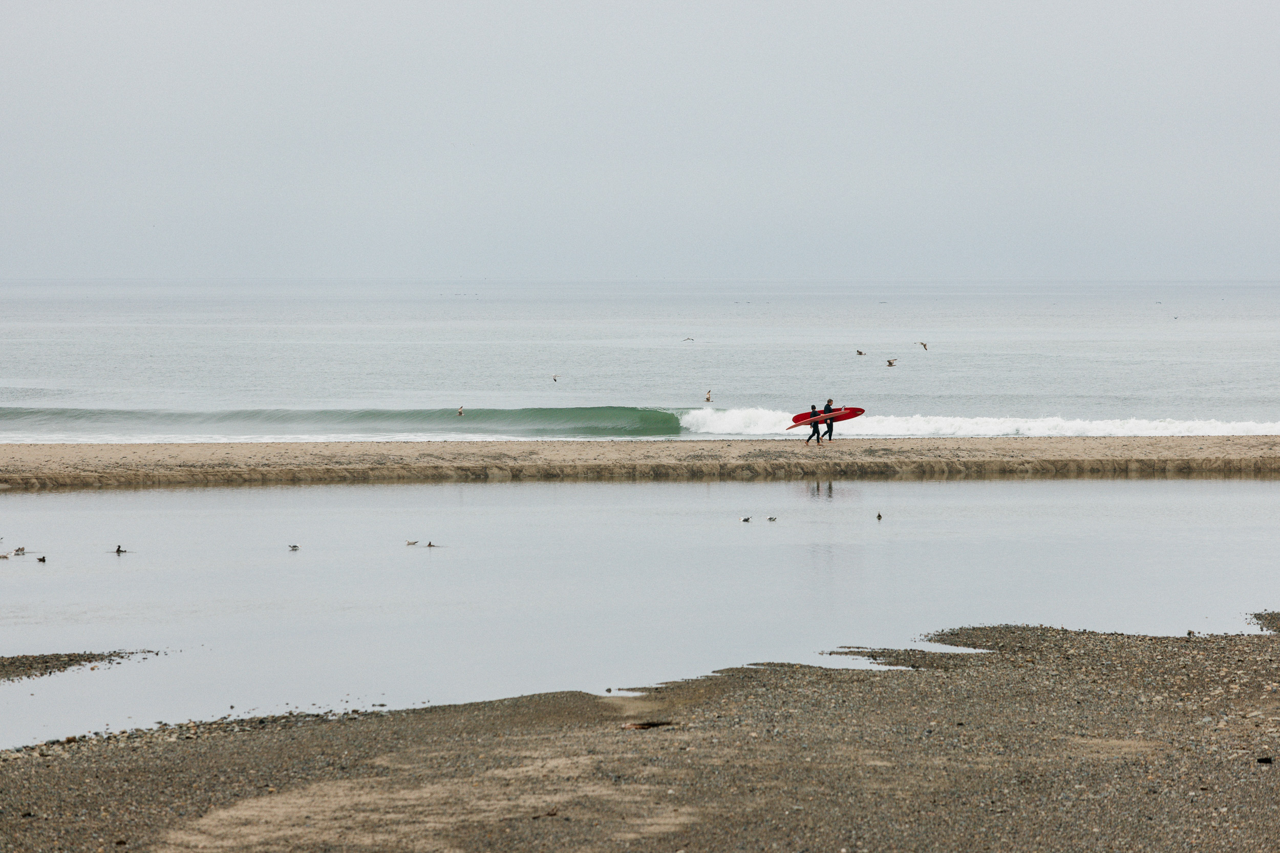 Doheney Surf Report - f6f3v1y