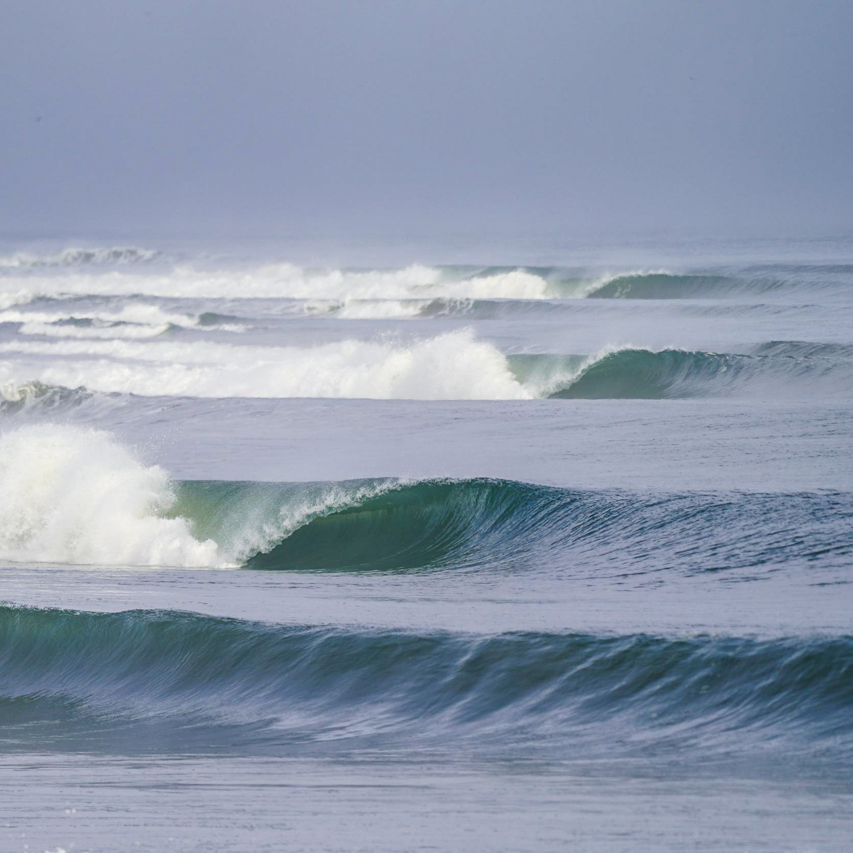 Surf Life - Surfing Skeleton