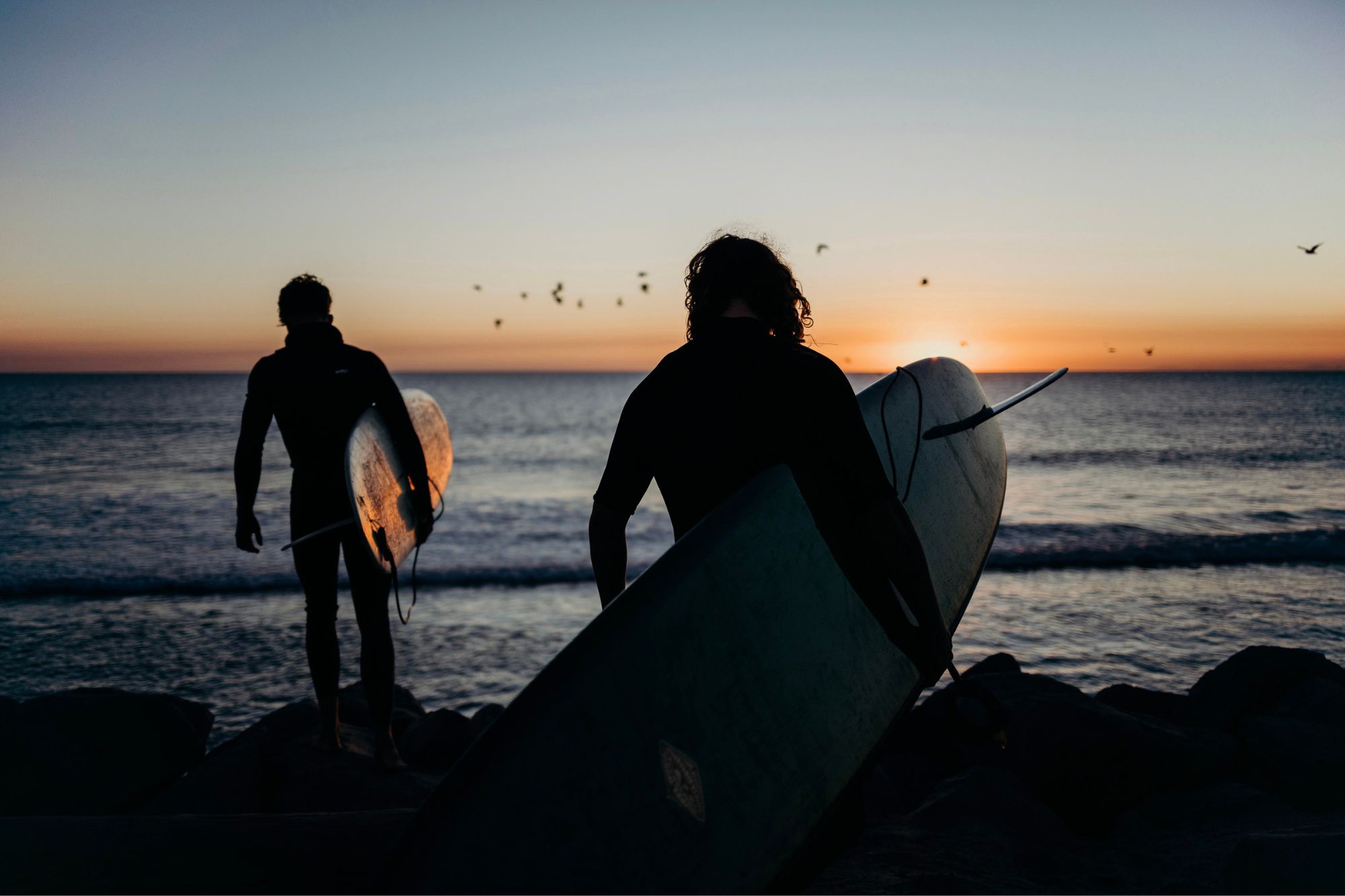 Surf - Products - The LineUp