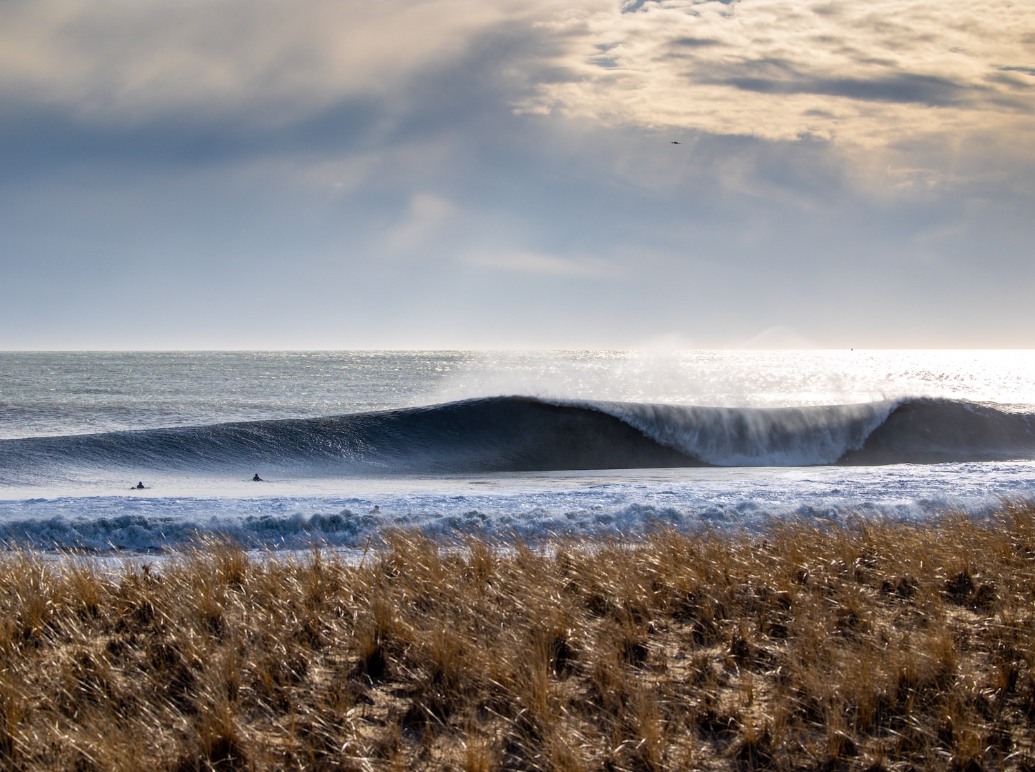 Swell vs Surf – Surfline Support Center