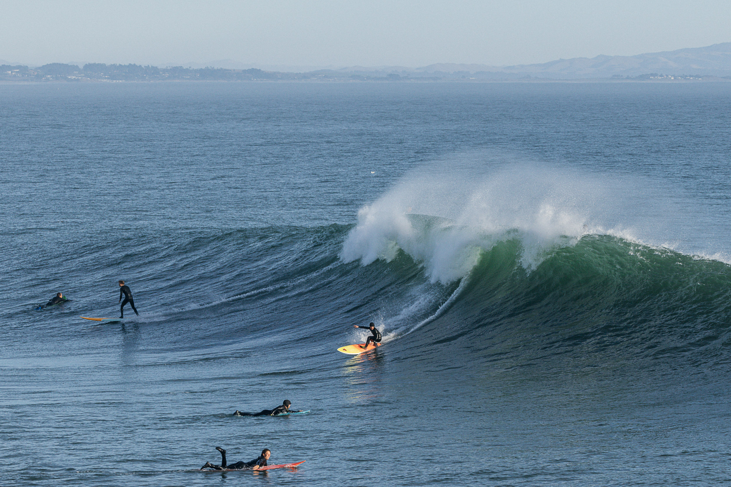 Santa Cruz Surfline - 62cx10e