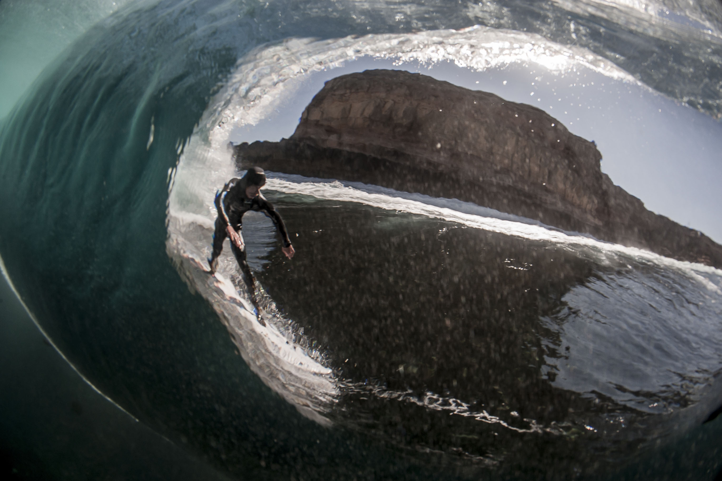 White Sharks And South Oz: A Way Forward