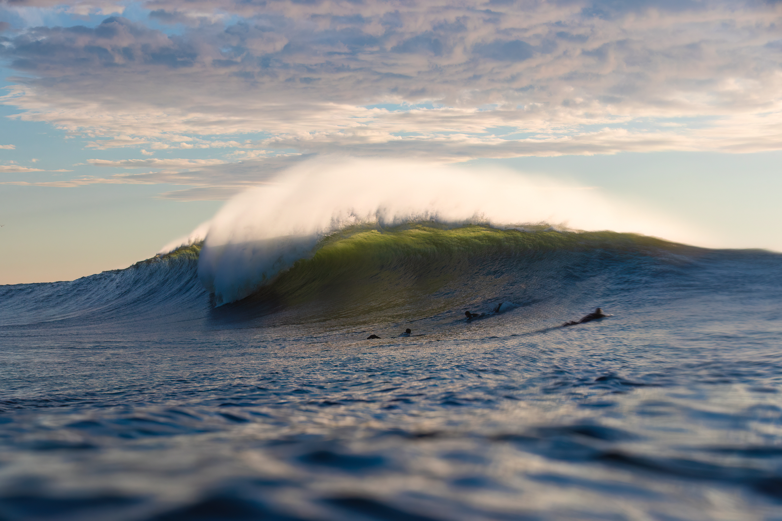 Surfline Scripps - 3vnop6q