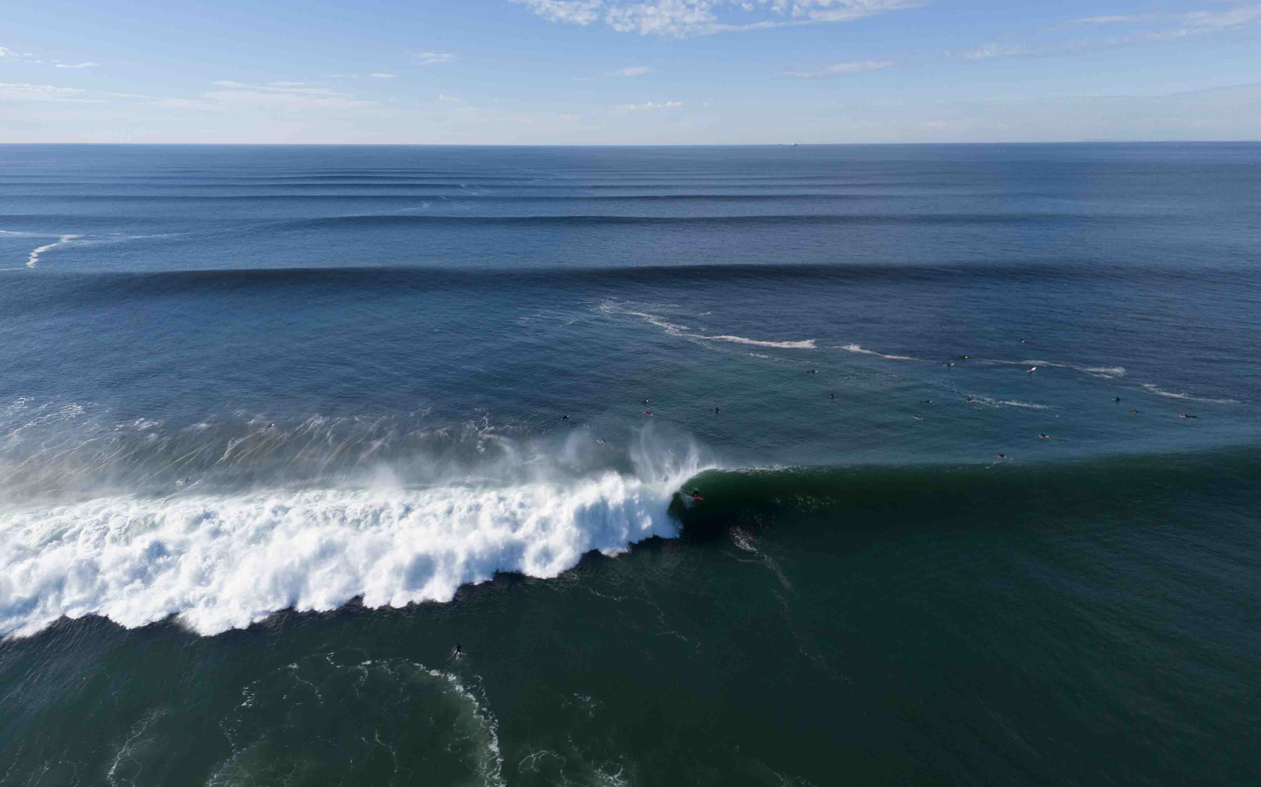 Surfline Scripps - n8h14vo