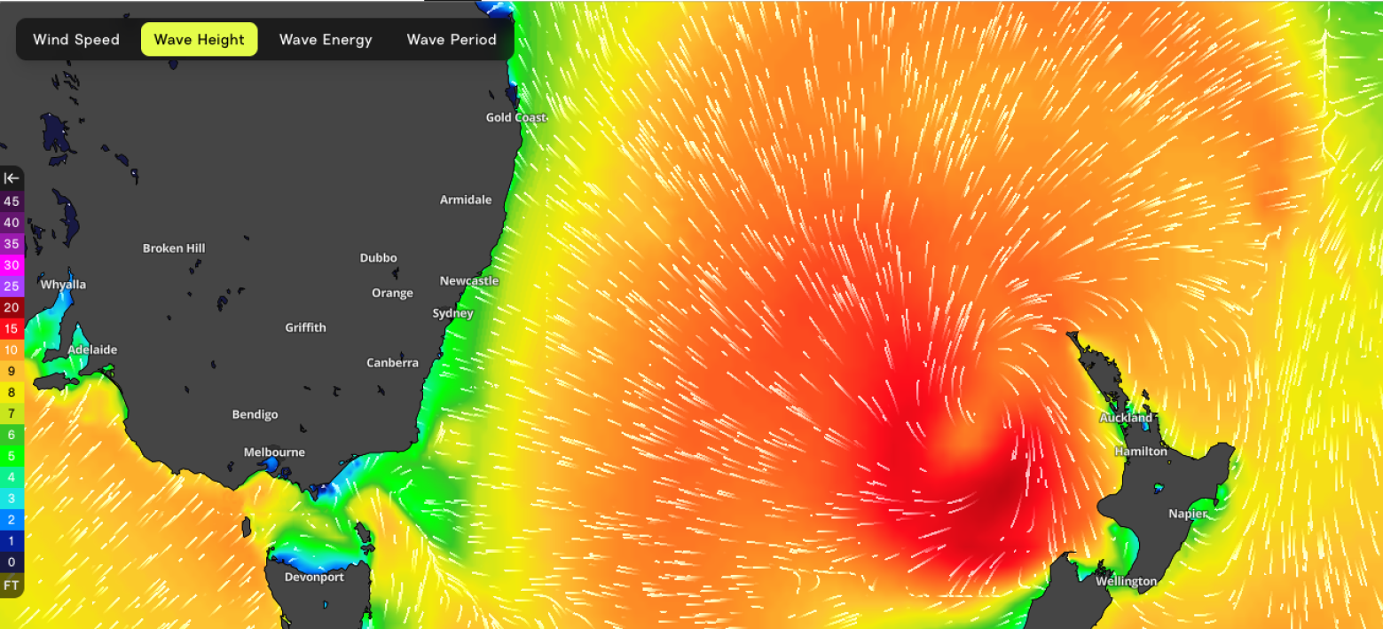 Tasman Turns On For The New Year Break
